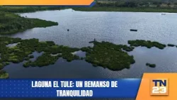 Laguna El Tule: Un remanso de tranquilidad