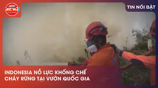 11:30 AM Indonesia struggles to contain forest fires - VNA