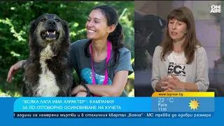 Не избирайте куче само по външния вид, не всяко е подходящо за домашен любимец