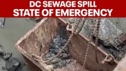 D.C. seeks federal help for massive Potomac sewage rupture