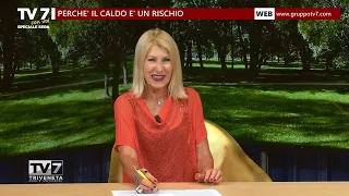 TV7 WITH YOU EVENING SPECIAL 6/23/26