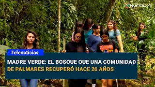 Madre Verde: The forest a Palmares community reclaimed 26 years ago