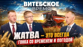 Harvest 2026: How is the harvest season going in the Vitebsk region? | Vitebsk Time
