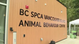 New Vancouver Island Animal Behaviour Centre prepares to open doors this fall