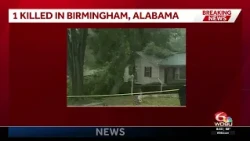 One killed after tree falls on Birmingham home overnight