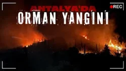 Antalya Serik'te orman yangını