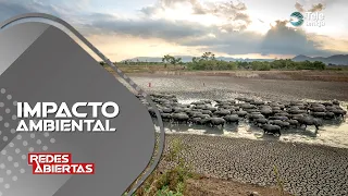 ENVIRONMENTAL IMPACT OF THE EL NIÑO PHENOMENON #opennetworks