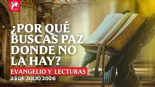 Readings and Homily - 07/23/2026 - Fr. Patrick