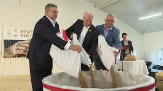Helvécián öntötték össze a Kárpát-medence magyar gazdáinak búzáját