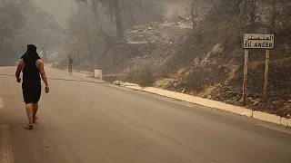 Algeria: Residents of Bordj Tahar return to find their village devastated by flames