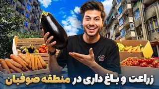 شهر ما - گزارش سمیع‌الله ظفر از حال‌وهوای دهقانان در منطقه صوفیان ولسوالی میربچه کوت