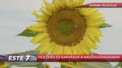 Fejlődés és kihívások a mezőgazdaságban