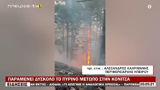 ΠΑΡΑΜΕΝΕΙ ΔΥΣΚΟΛΟ ΤΟ ΠΥΡΙΝΟ ΜΕΤΩΠΟ ΣΤΗΝ ΚΟΝΙΤΣΑ