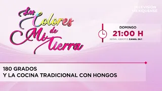 180 Grados and traditional mushroom cuisine | The Colors of My Land | 07/12/2026