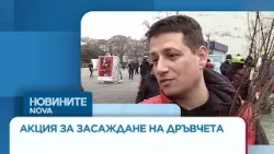 Инициативата „Гората.бг” раздава 55 000 дръвчета в Бургас, Сливен и Ямбол