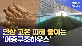 'Double-Structure Greenhouse' to Reduce High-Temperature Damage to Ginseng (09/02/2026/News Desk/...