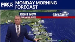 Погода в Тампе | Прогноз на утро понедельника