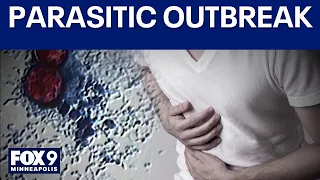 Cyclosporiasis cases increasing in Minnesota and across US
