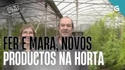 FER E MARA, NOVOS PRODUCTOS NA HORTA | COS PÉS NA TERRA