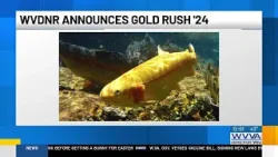 WVDNR announces 2024 Gold Rush