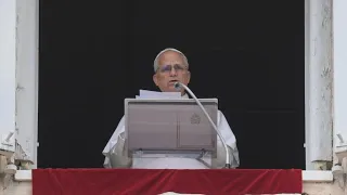 Pope Francis: "Respect humanitarian law and stop the cycle of violence"