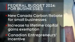 2024 FEDERAL BUDGET | Omar Sachedina and tax expert Tim Cestnick break down the numbers