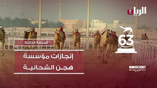 إنجازات مؤسسة هجن الشحانية .. 63 رمزاً /  الحلقة الثالثة