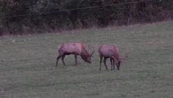 Elk County | On The Pennsylvania Road