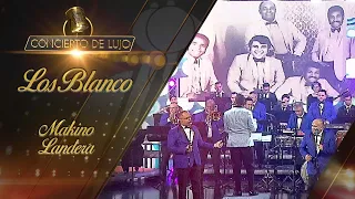[Concierto de Lujo] – Orquesta Los Blanco – Makino Landera