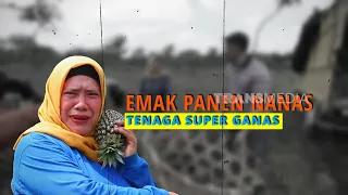Hebohnya Emak Enah Ikut Panen Nanas | ENAH BIKIN ENAK (02/09/26) P2