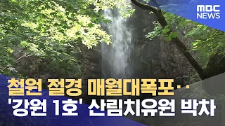 Cheorwon’s Stunning Maewoldae Falls… Paving the Way for Gangwon’s First National Forest Healing C...