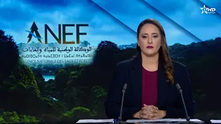 الأخبار الرئيسية الأولى 12/09/2026
