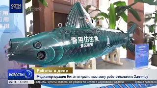 China Media Group Opens Robotics Exhibition in Hangzhou Featuring Over 60 Companies