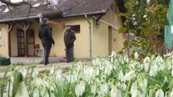 Jókor és jól jöttek a plusz juttatások