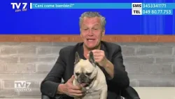 Tv7 con Voi 8/4/26 - Cani come bambini? (2 di 2)