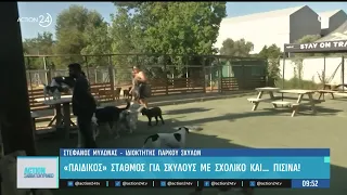 Παιδικός σταθμός για... μουσούδες - Τα σκυλάκια μας κοινωνικοποιούνται σε χώρο με πισίνα