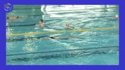 DSTV | TOBOROZNAK AZ ÚSZÓK