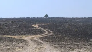 Big Grass Fire continues growth, prompts more evacuations