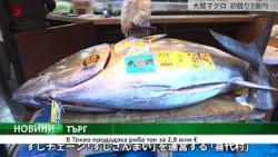 В Токио продадоха риба тон за 2,8 млн €