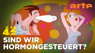 Kriegen wir unsere Hormone in den Griff? |  42 - Die Antwort auf fast alles | ARTE