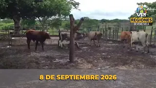 Regional News from Venezuela Today - Tuesday, September 8, 2026 @VPItv