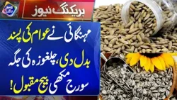 Chilgoza Ki Jagah Suraj Mukhi Beej Maqbool | 3 January 2026 | Lahore Rang