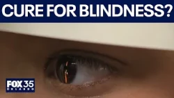 Can gene therapy restore basic sight in blind patients?
