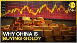 China Adds 21 Tonnes of Gold in September; China Extends Gold Buying Streak | WION