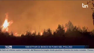14:30 News Bulletin, July 24, 2026