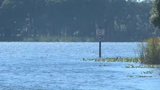 Missing Lake Tarpon boater found dead, Pinellas County deputies say