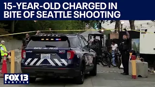 15-year-old charged in Bite of Seattle shooting that killed 3 | FOX 13 Seattle