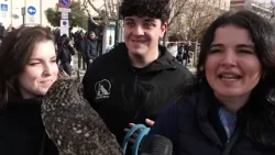 Civitavecchia, benedizione degli animali con la Festa di S. Antonio Abate - Canale 10