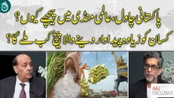 Why Is Pakistani Rice Falling Behind in the Global Market? | AAJ EXCLUSIVE