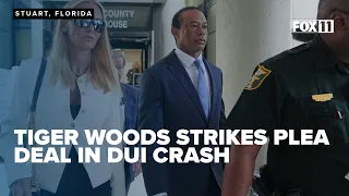 Tiger Woods enters no-contest plea in DUI crash, license suspended 5 years